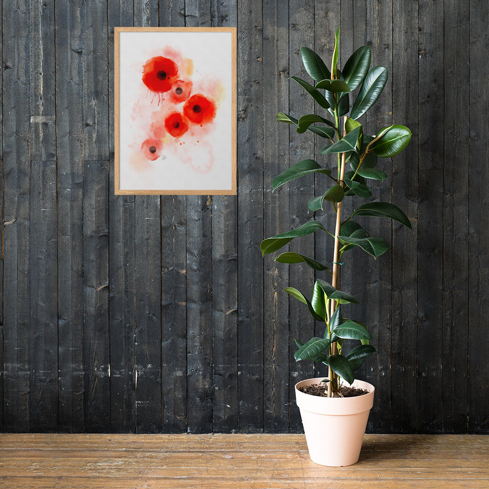 Framed matte paper poster - Coquelicots Poppies