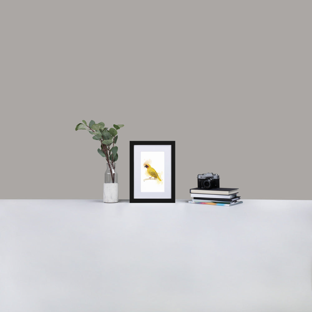 Ruppelles Weaver Bird Watercolor - Matte Paper Framed Poster With Mat