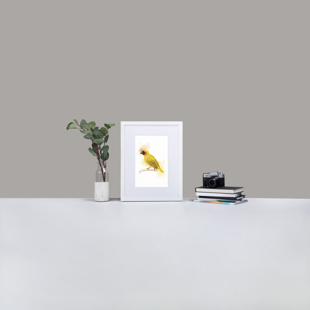 Ruppelles Weaver Bird Watercolor - Matte Paper Framed Poster With Mat