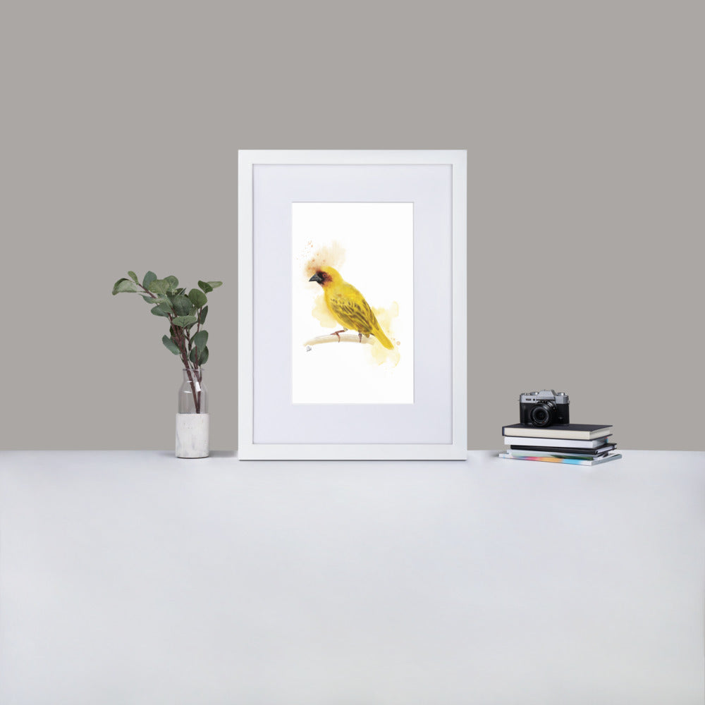 Ruppelles Weaver Bird Watercolor - Matte Paper Framed Poster With Mat