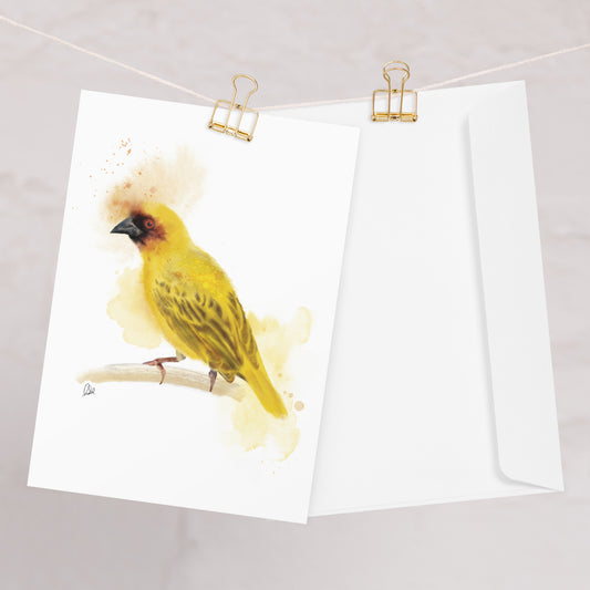 Ruppell's Weaver Bird Greeting card