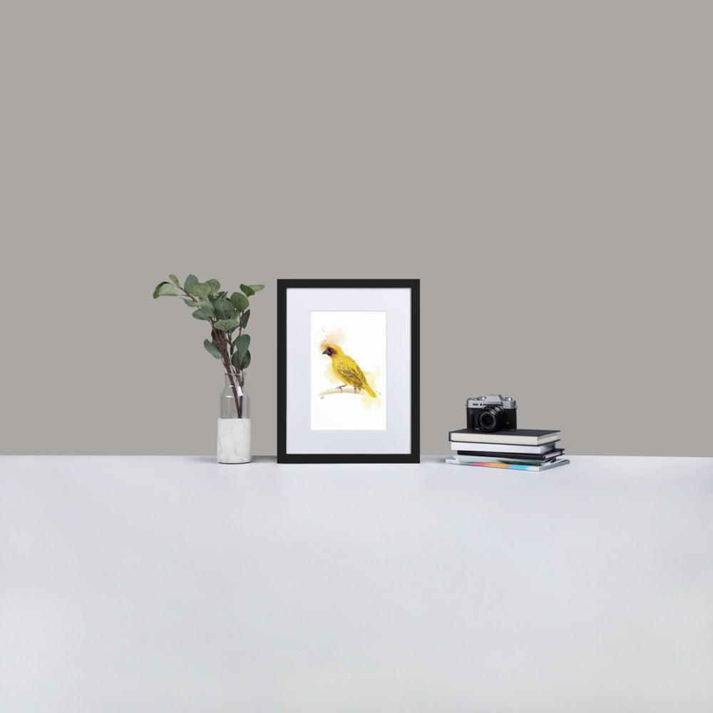 Ruppelles Weaver Bird Watercolor - Matte Paper Framed Poster With Mat