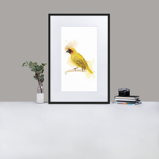 Ruppelles Weaver Bird Watercolor - Matte Paper Framed Poster With Mat