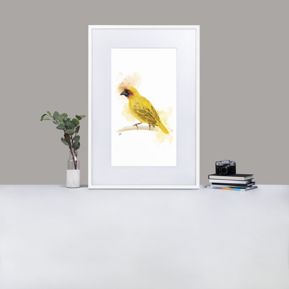 Ruppelles Weaver Bird Watercolor - Matte Paper Framed Poster With Mat